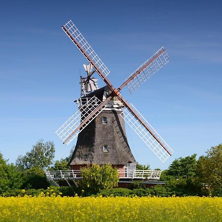 Wyk auf FöhrHaus Stoertebeckerアパートメント エクステリア 写真